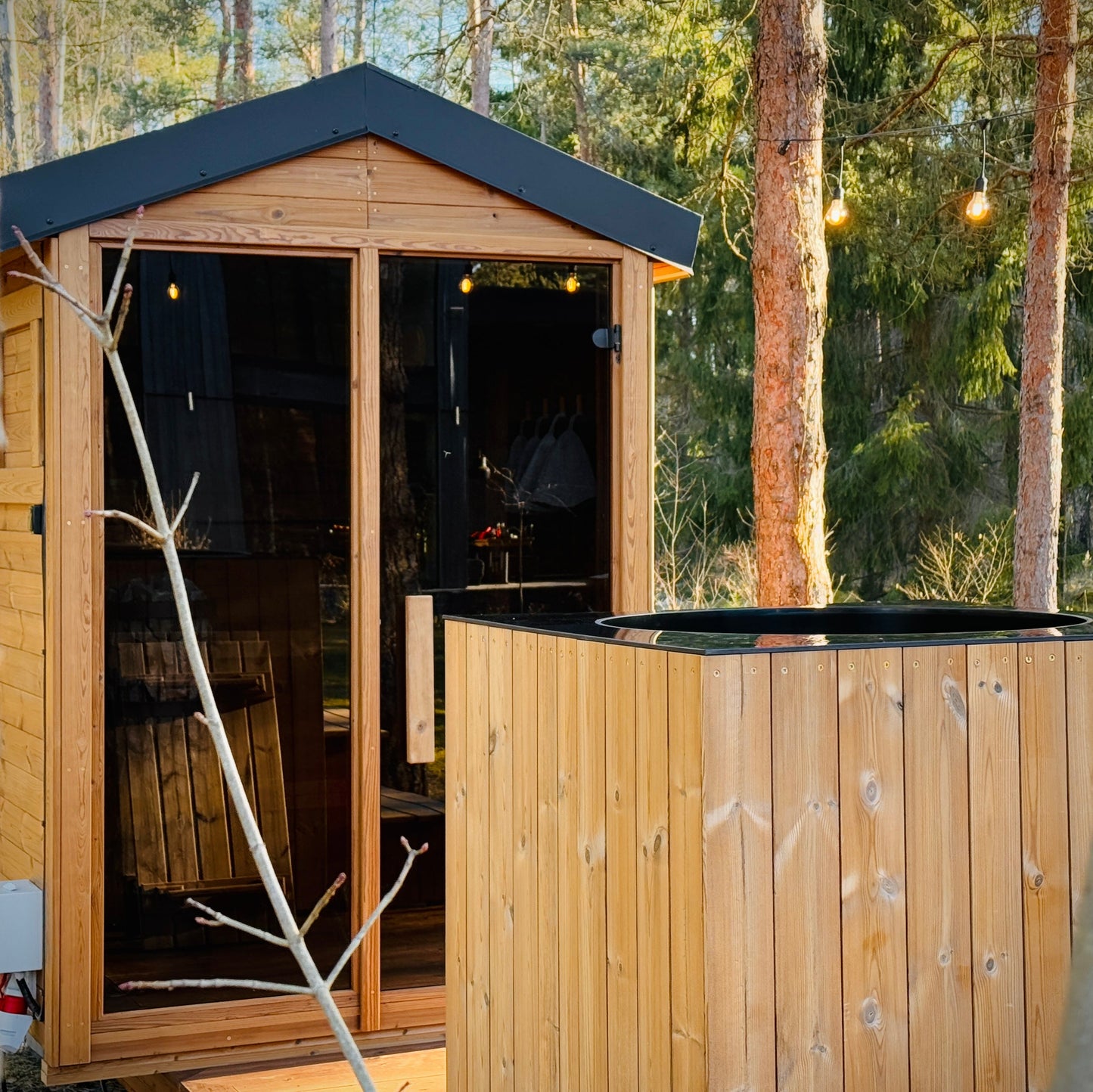 Eco-friendly DIY sauna kit crafted from Thermowood
