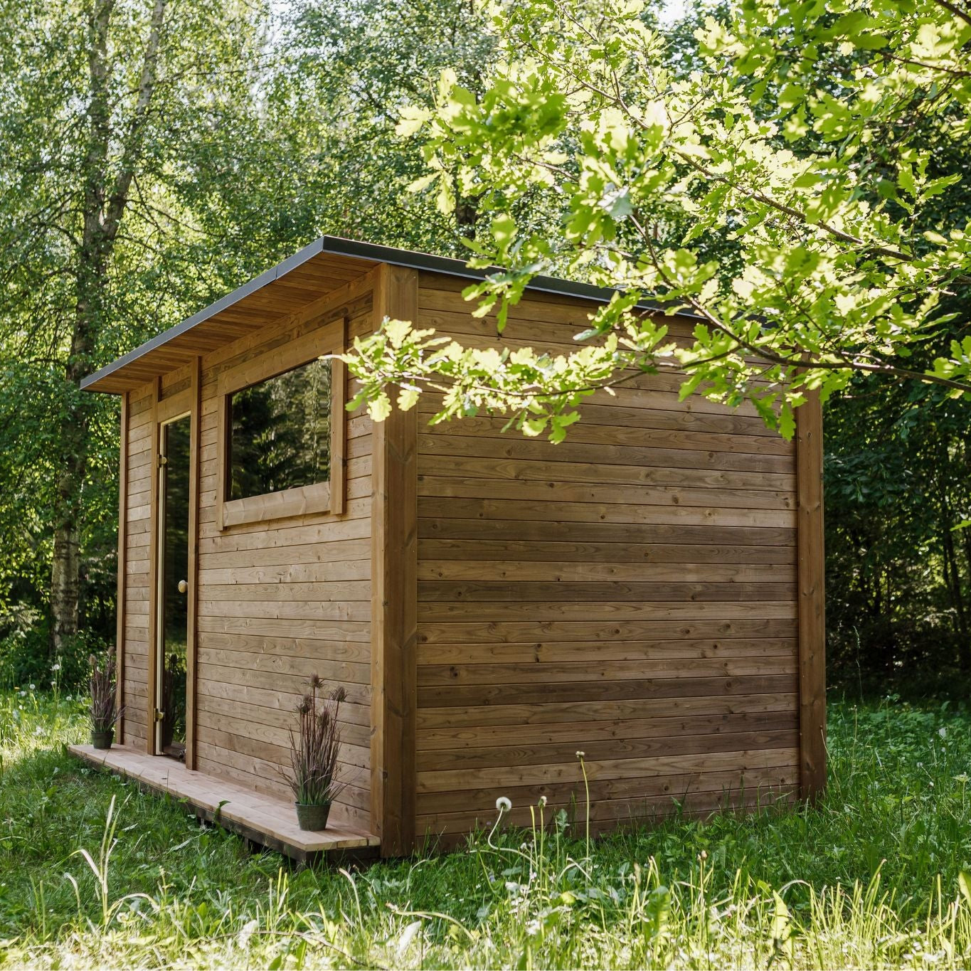 Pre-room interior finished with natural spruce paneling